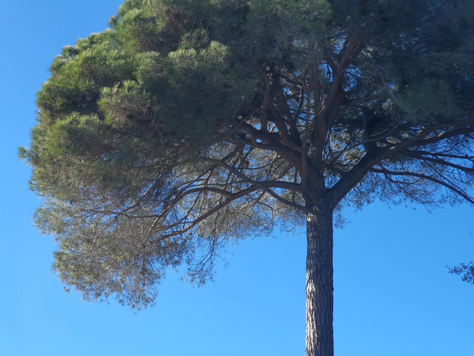 Spa Ibiza Dosrius Canyamás Buitenkant foto